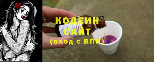 индика Алзамай