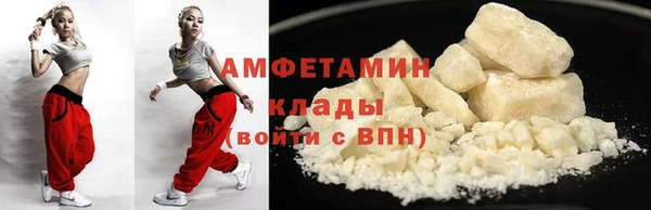 индика Алзамай