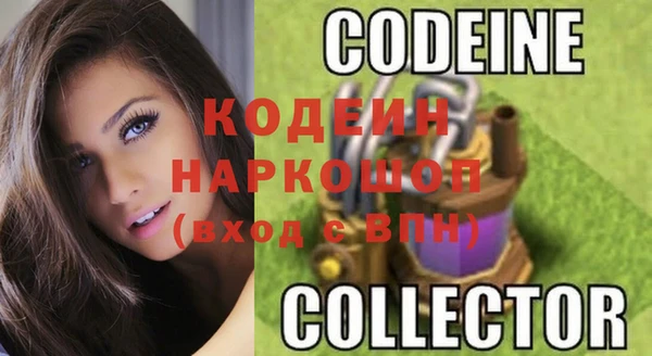 индика Алзамай