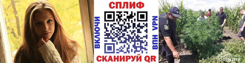 магазин продажи   Чапаевск  Марихуана Ganja 